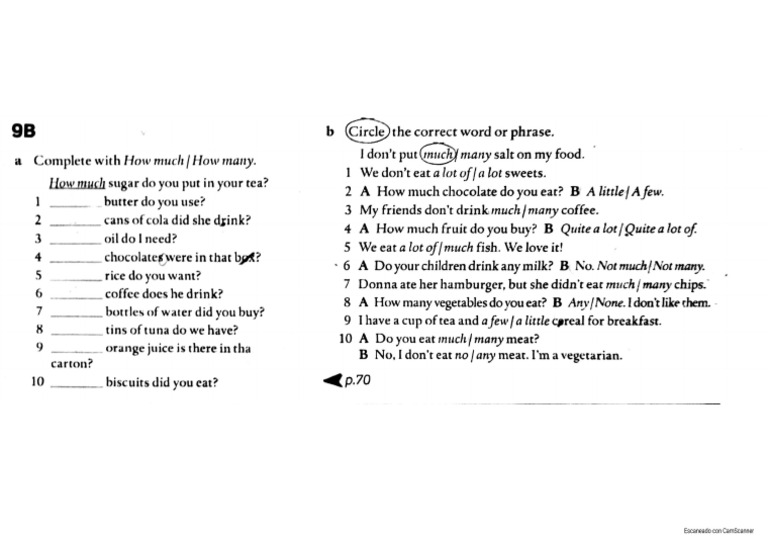 Quantifiers Practice | PDF