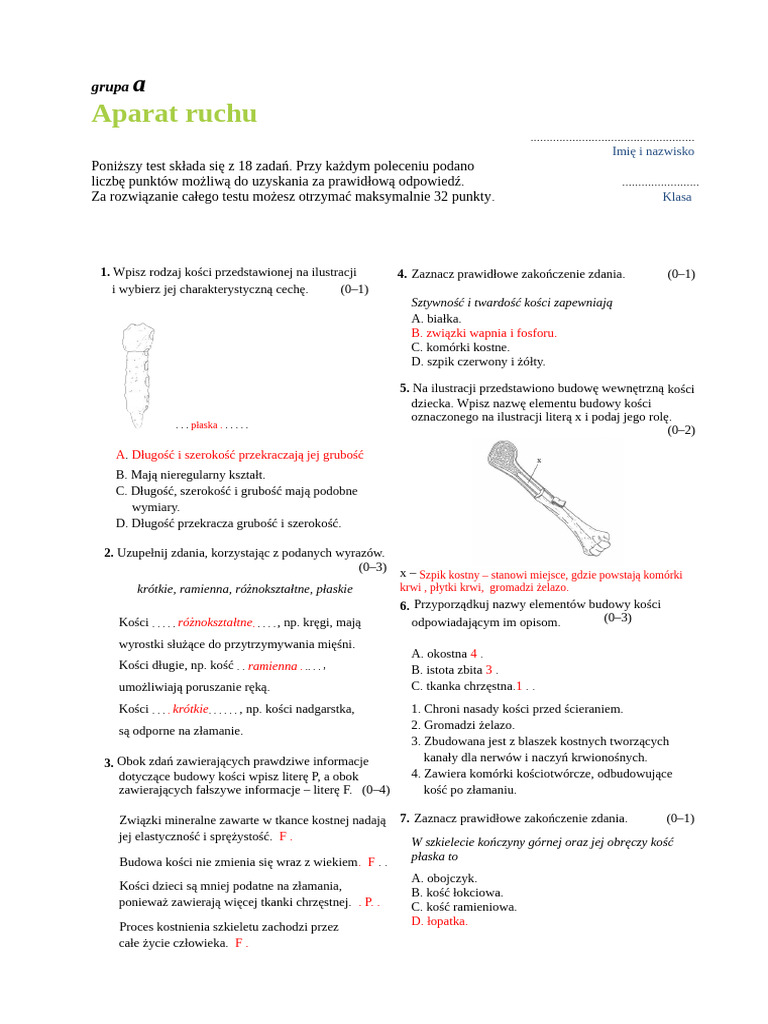 Odpowiedź Test Układ Ruchu KL 7 | PDF