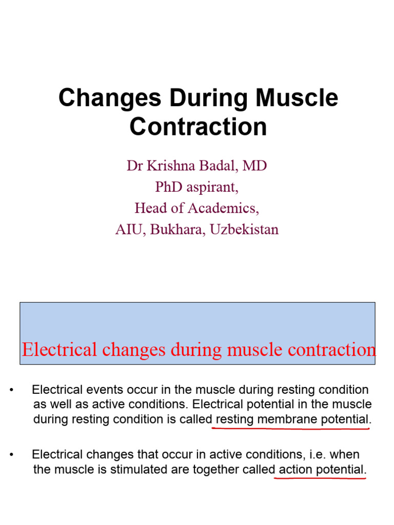 Muscle Contraction Electrical Changes | PDF | Depolarization | Action ...