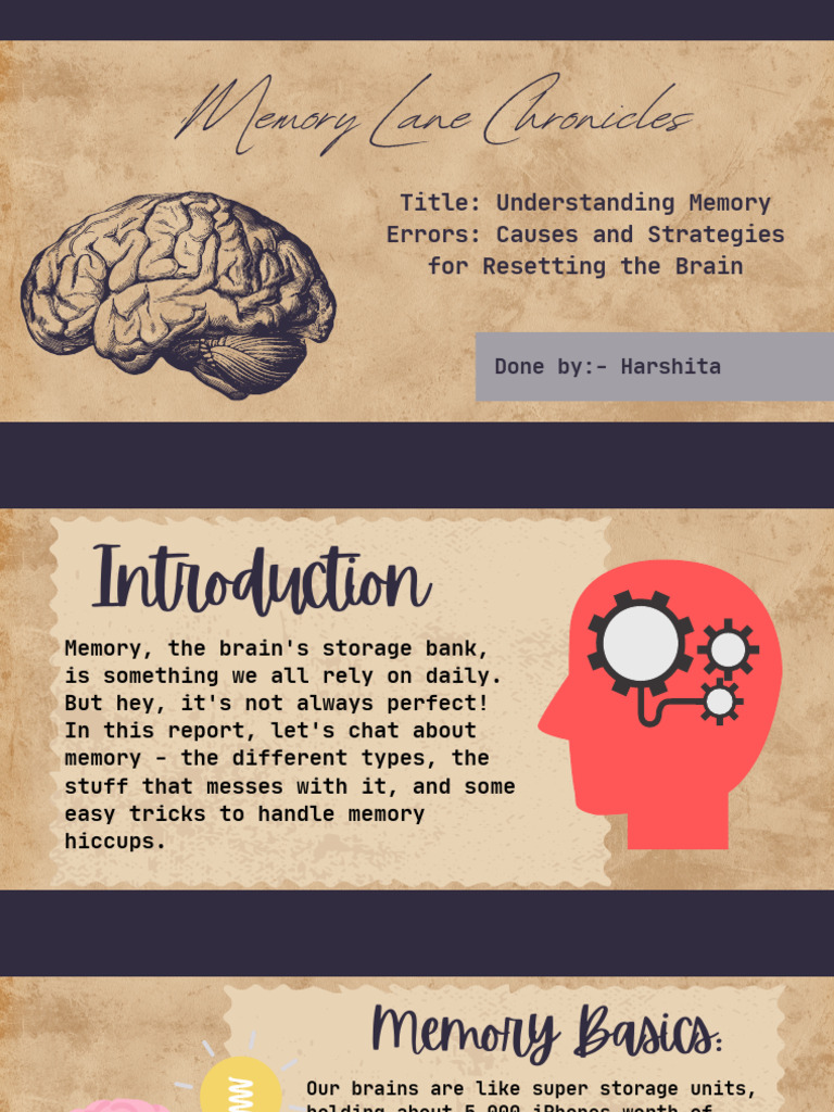 Project | PDF | Memory | Mental Processes