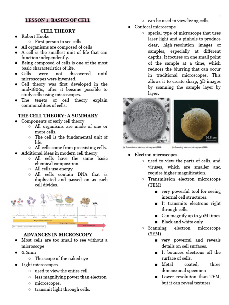 3 2cmb Lec Pdf Pdf Microscope Microscopy