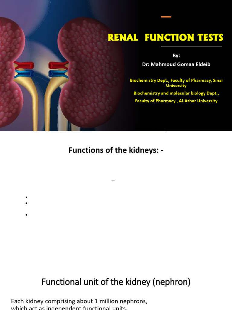 Kidney Function Tests-1 | PDF | Kidney | Creatinine