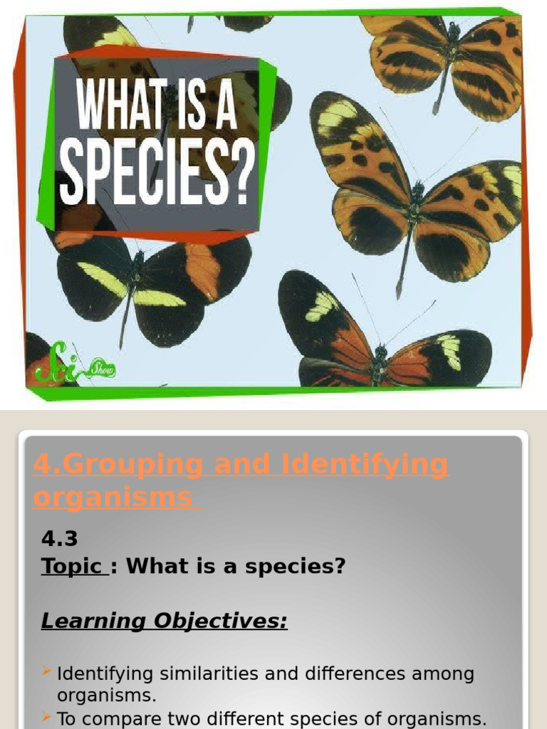 Species Presentation For Grade 6 | PDF | Home & Garden | Science ...