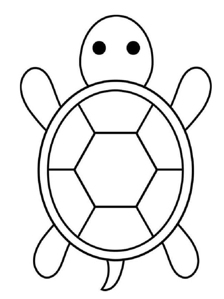 TURTLE | PDF