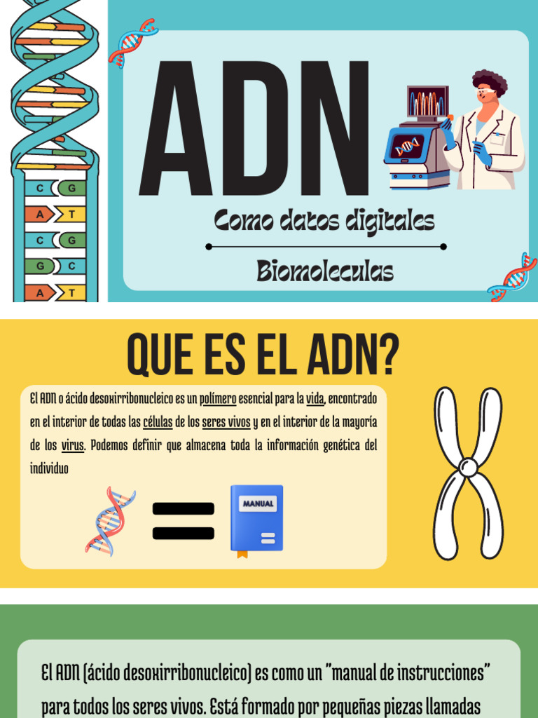 DNA Biology Science Education Presentation in Blue Orange Illustrated ...