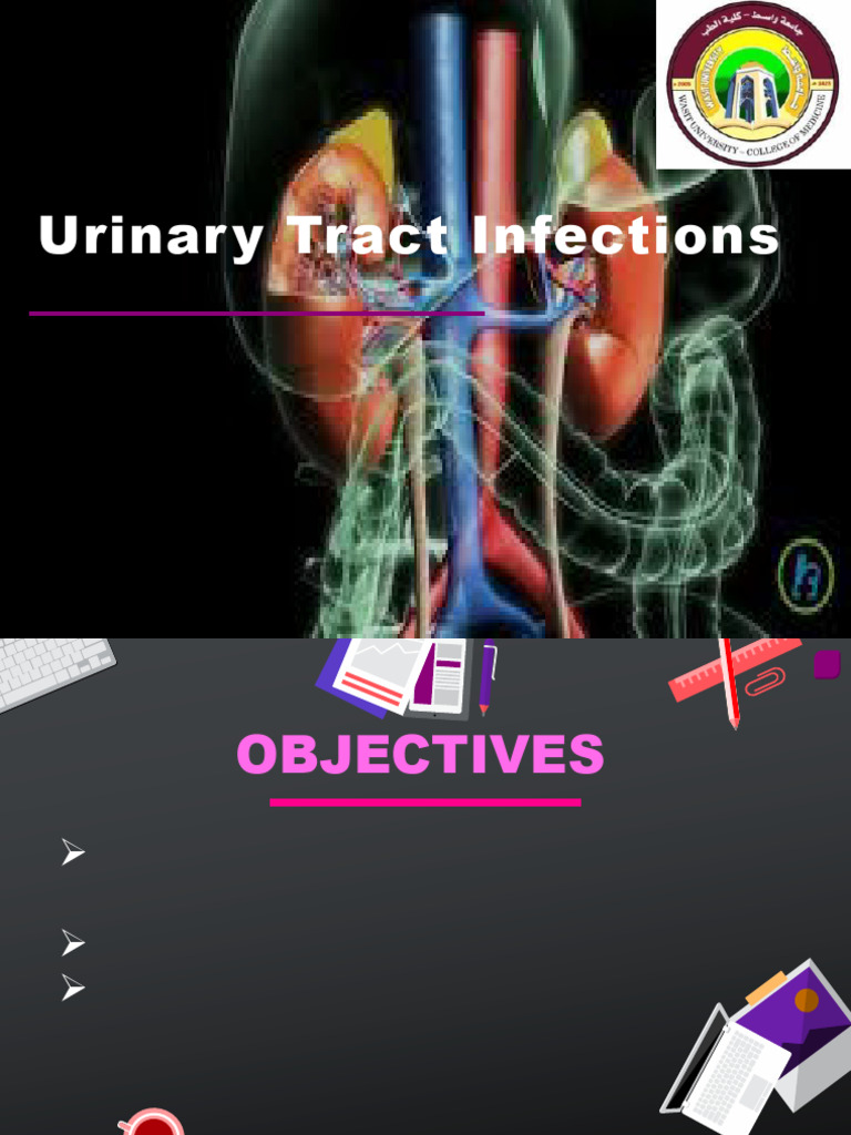 Understanding Urinary Tract Infections | PDF | Urinary Tract Infection ...