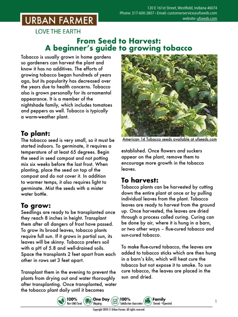 how to grow tobacco pdf Cultivation of Instructions For Growing Tobacco |