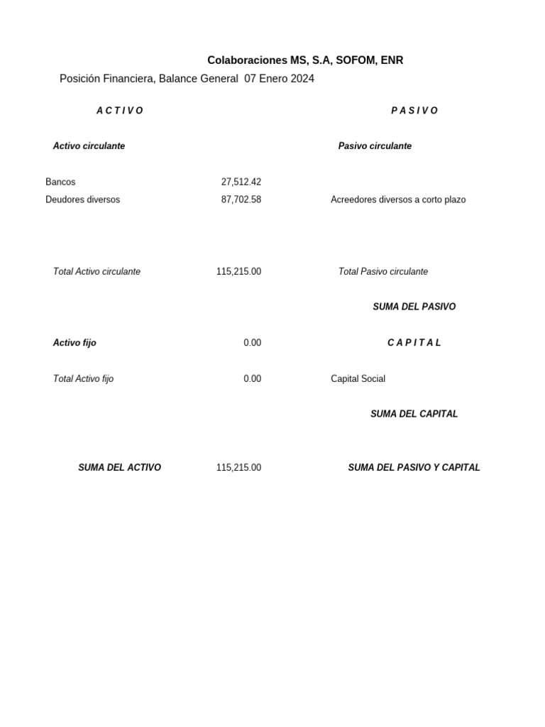 Balance General Financiero 2024 | PDF | Hoja de balance | Economía ...
