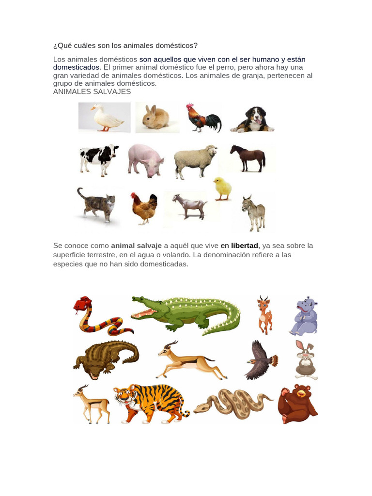 ANIMALES | PDF | Ciencia y matemáticas