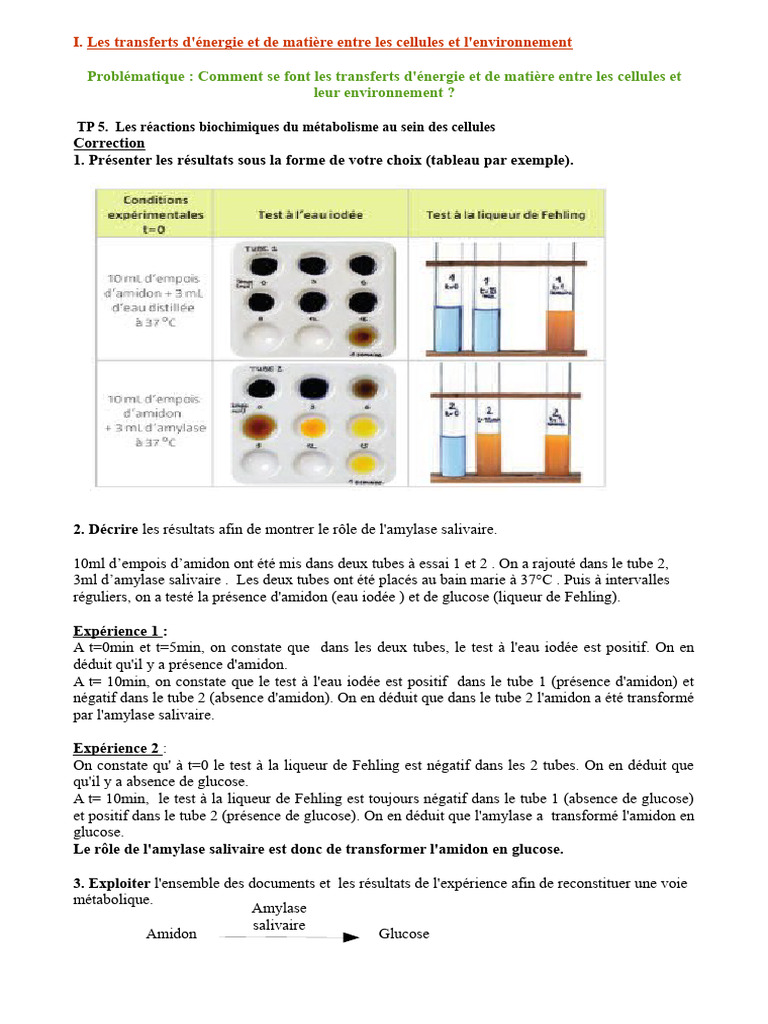 Correction TP5. Seconde | PDF | Sciences et mathématiques