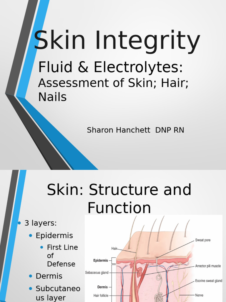 Week 4 Lecture Skin Integrity and Wounds | PDF | Skin | Medical Specialties