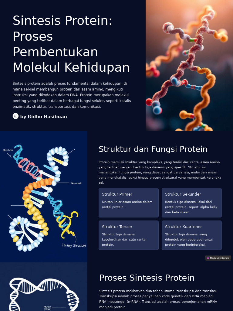 Sintesis Protein Proses Pembentukan Molekul Kehidupan | PDF | Kesehatan ...