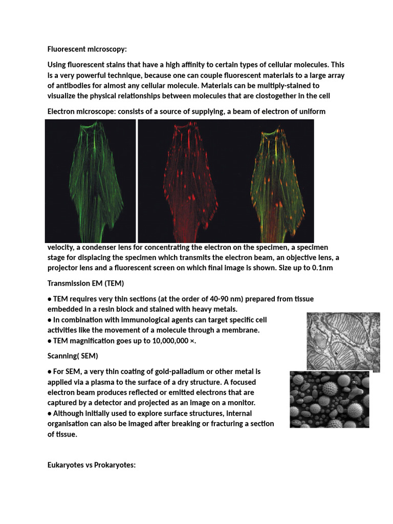 Cell Biology Revision | PDF | Mitosis | Cell Membrane