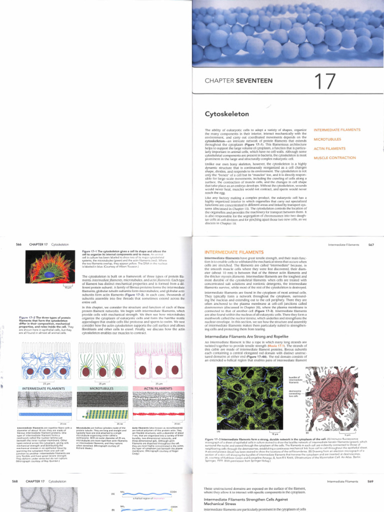 CAMPBELL 20BIOLOGY 20CHAPTER 2013 20TEST 20PREPARATION PDF visual data 5