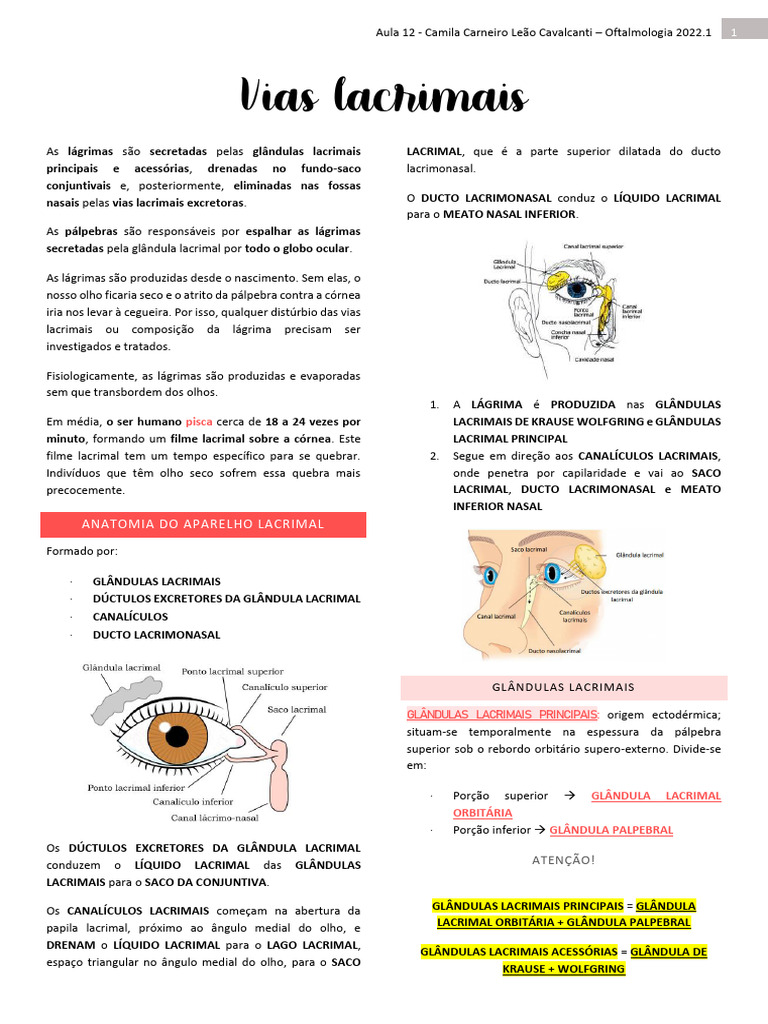 Anatomia e Distúrbios das Vias Lacrimais | PDF | Especialidades médicas ...