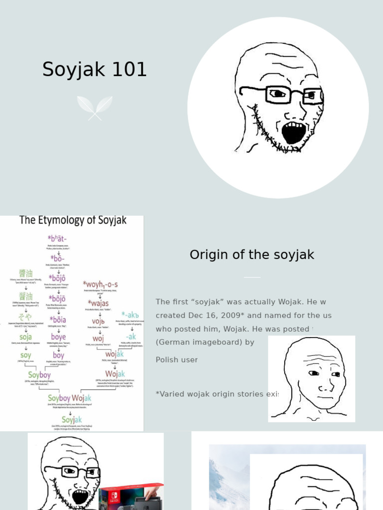 Soyjak 101 | PDF