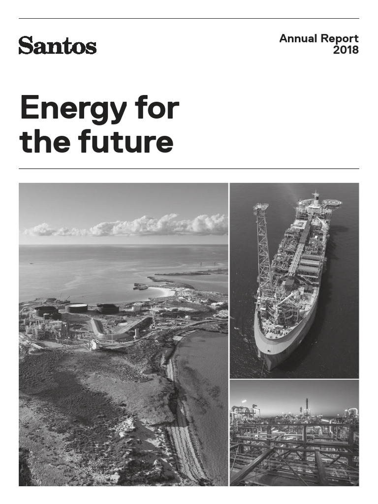2018 Annual Report | PDF | Natural Gas | Dividend