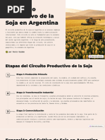 Circuito Productivo Del Trigo - Geografía | PDF | Trigo | Harina
