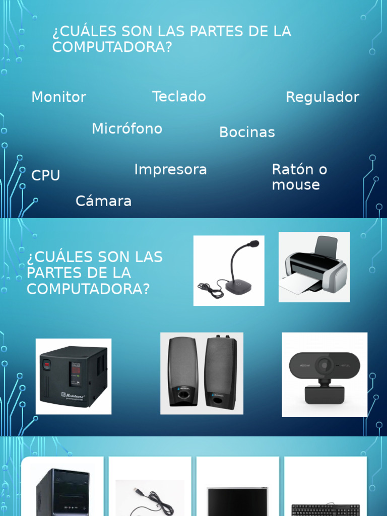 ¿Cuáles Son Las Partes de La Computadora? Monitor Teclado Regulador ...