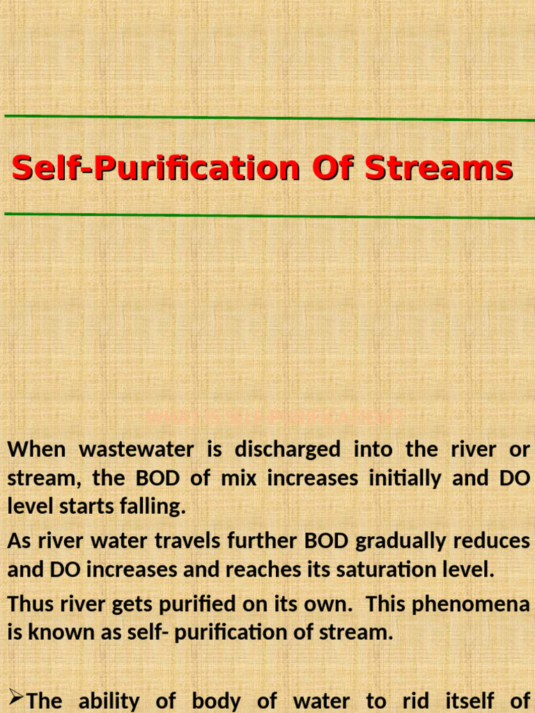 Self-Purification in Streams Explained | PDF | Water | Bacteria