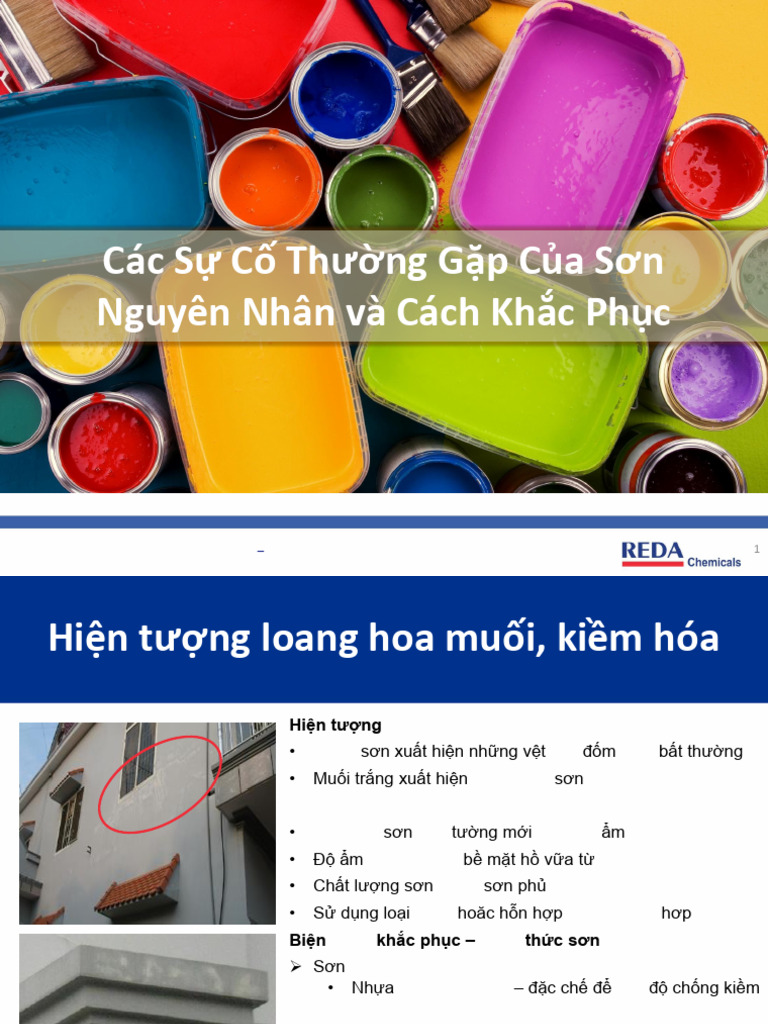 REDA - Paint Defects and Solutions | PDF