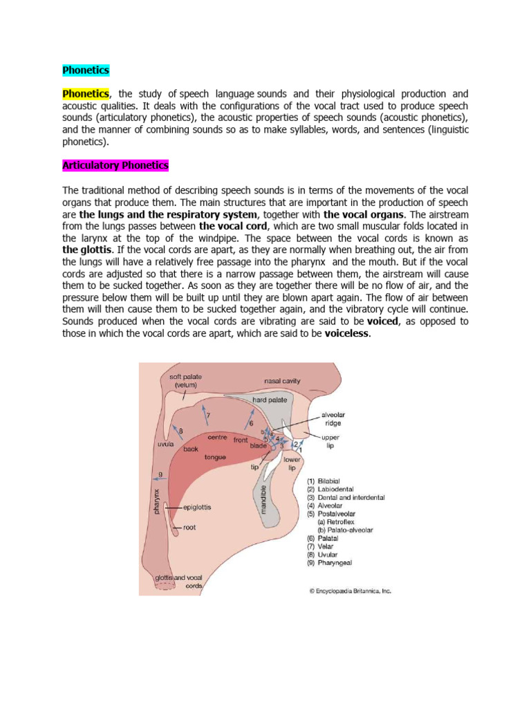 Understanding Phonetics: Speech Sounds Explained | PDF | Phonetics ...