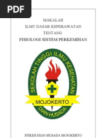 Download makalah fungional perkemihan by Ahsan Stadium Akhir SN78912149 doc pdf