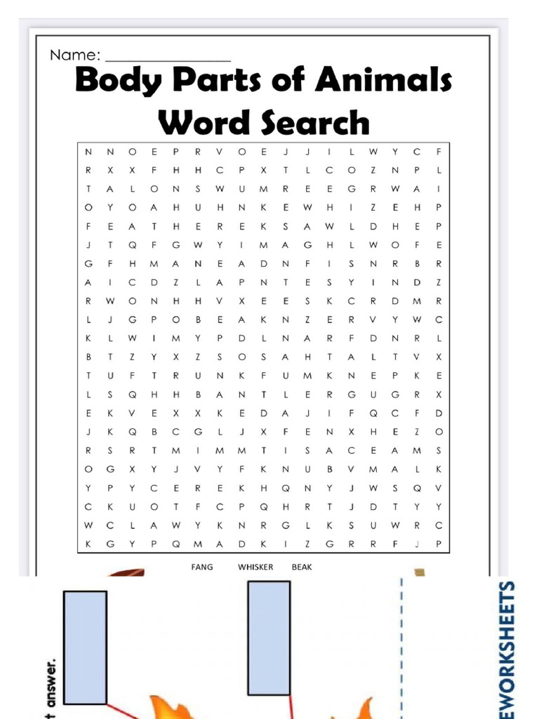 Science Year 1 Worksheet August | PDF