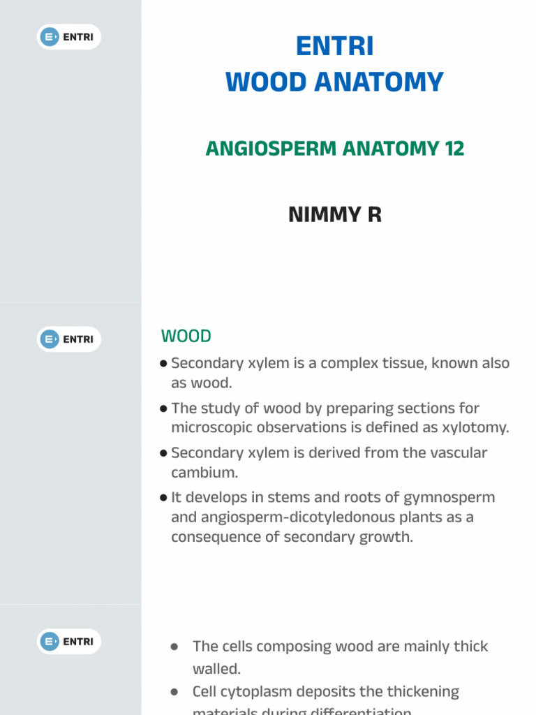 Understanding Wood Anatomy and Types | PDF | Wood | Plant Stem
