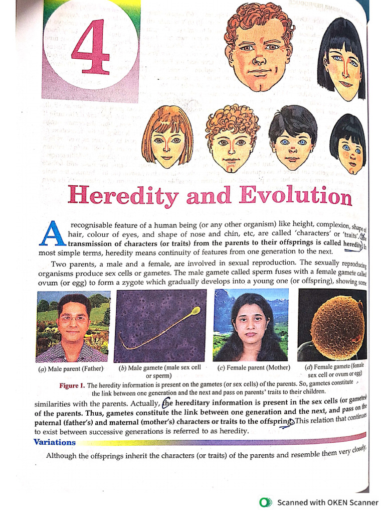 10th Heredity Lakhmir | PDF