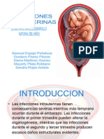 Infeccionesintrauterinas1 100610192424 Phpapp02