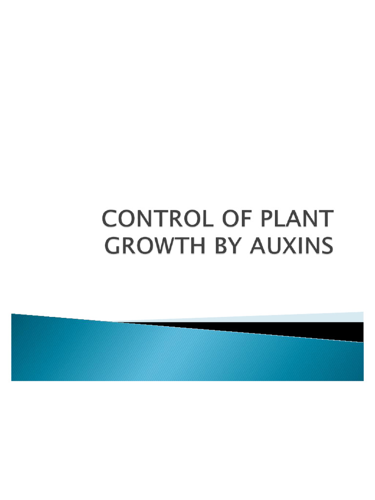 Understanding Auxin's Role in Plant Growth | PDF | Auxin | Root
