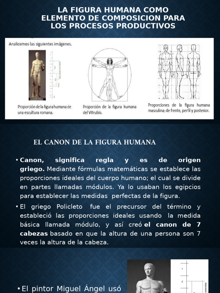 Canon y proporciones de la figura humana | PDF | Estudios de idiomas ...