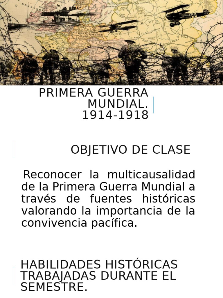 Causas y Consecuencias de la PGM | PDF