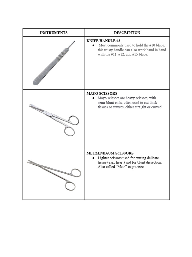 OR Instruments | PDF | Foreign Language Studies | Art