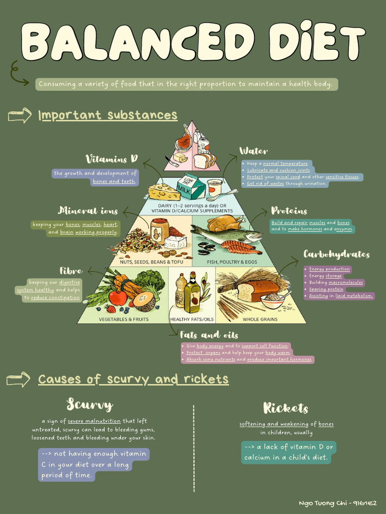 Essential Guide to a Balanced Diet | PDF | Vitamin | Bone