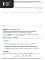 CNJ Norms and Codes Overview | PDF