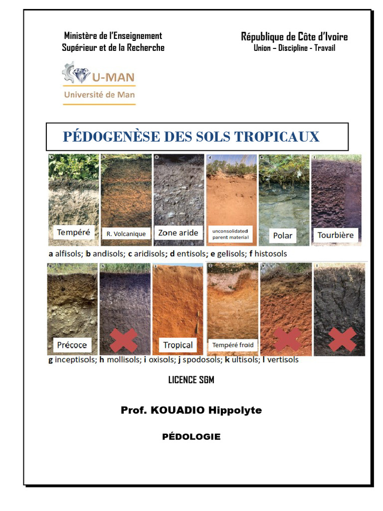Pédogenèse des sols tropicaux | PDF | Sol (pédologie) | Silicate