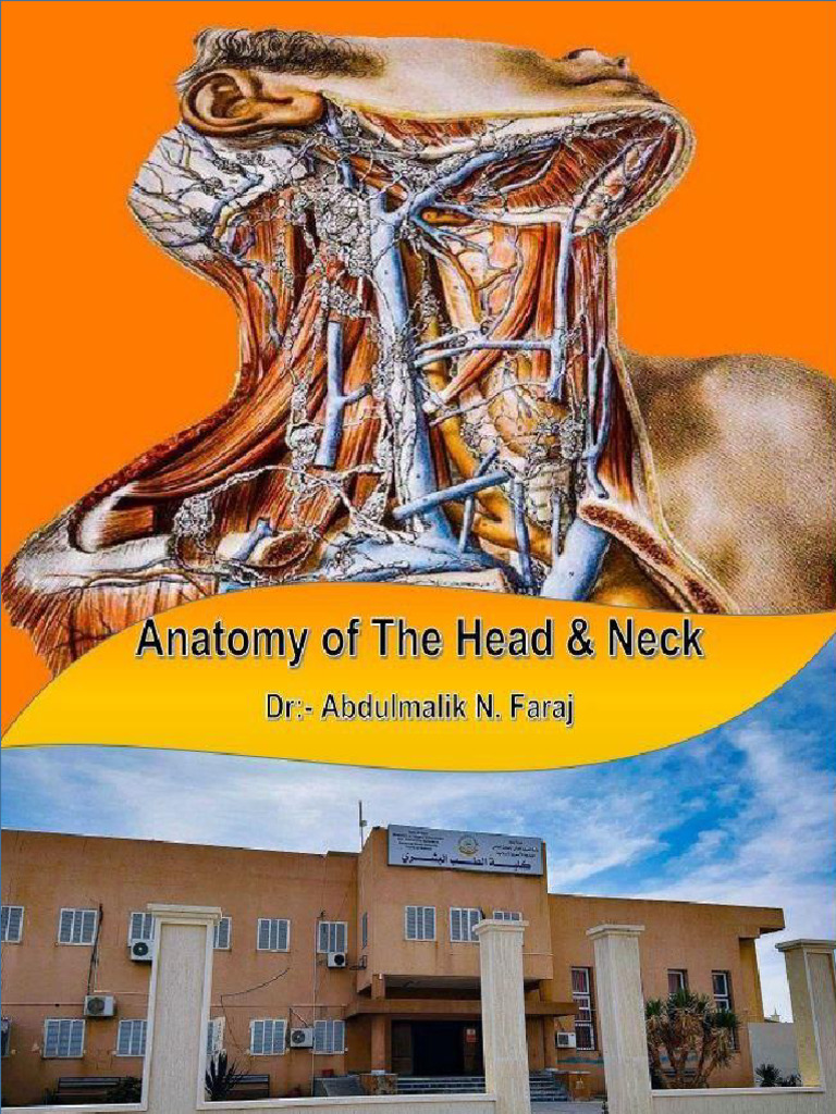 Anatomy of The Head & Neck by Kims | PDF | Vertebra | Skull