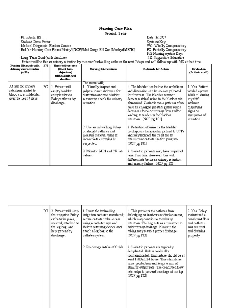 Nursing Care Plan Risk For Urinary Retention | PDF | Urinary Bladder ...
