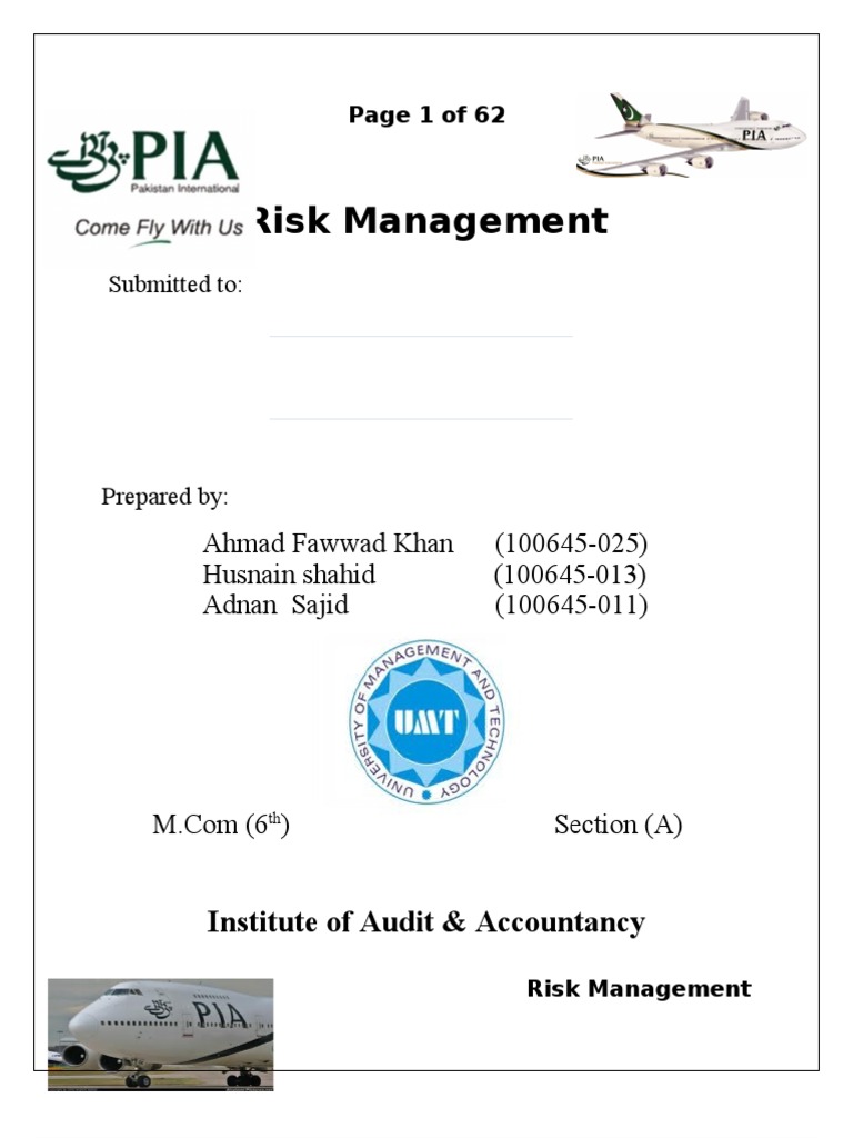 PIA Risk Management Analysis | PDF | Safety | Audit