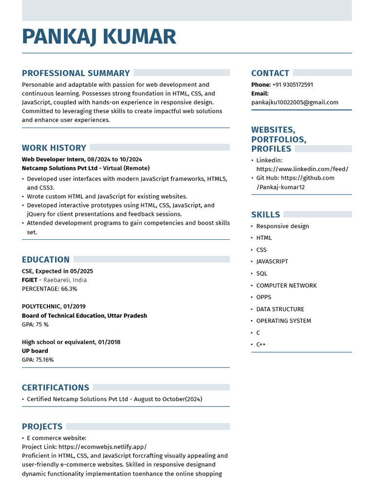 Web Developer Resume: HTML, CSS, JS Skills | PDF | Java Script | World ...