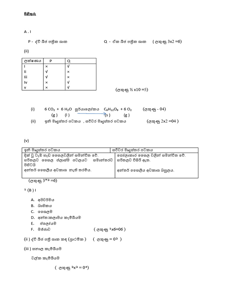 SFT Paper2 Answers | PDF