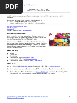 Modelling DNA