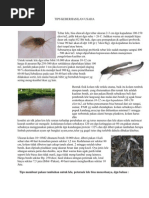 Download Tips Keberhasilan Usaha by Suranto Ompunk SN78935738 doc pdf