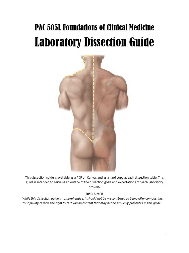 FCM Dissection Guide 2024-1 | PDF | Vertebra | Human Brain