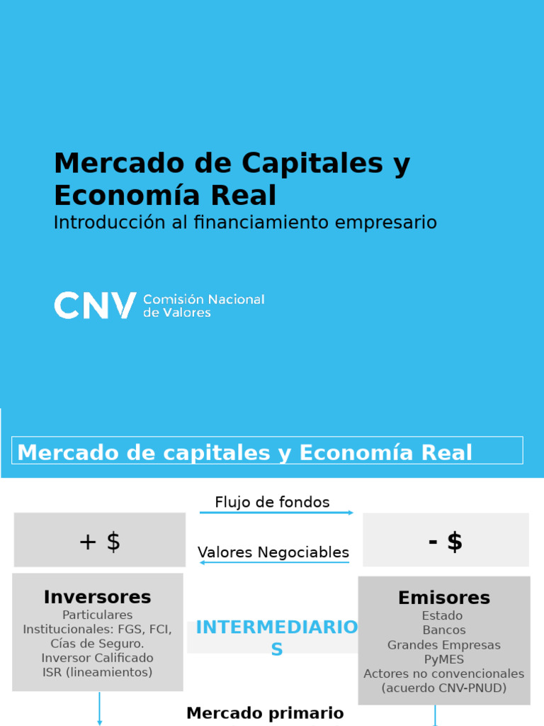 Mercado de Capitales y Financiamiento Empresarial | PDF | Puesta en ...