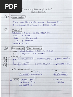 Nursing shift report