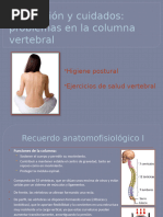 Guía de Higiene de Columna | PDF | La columna vertebral