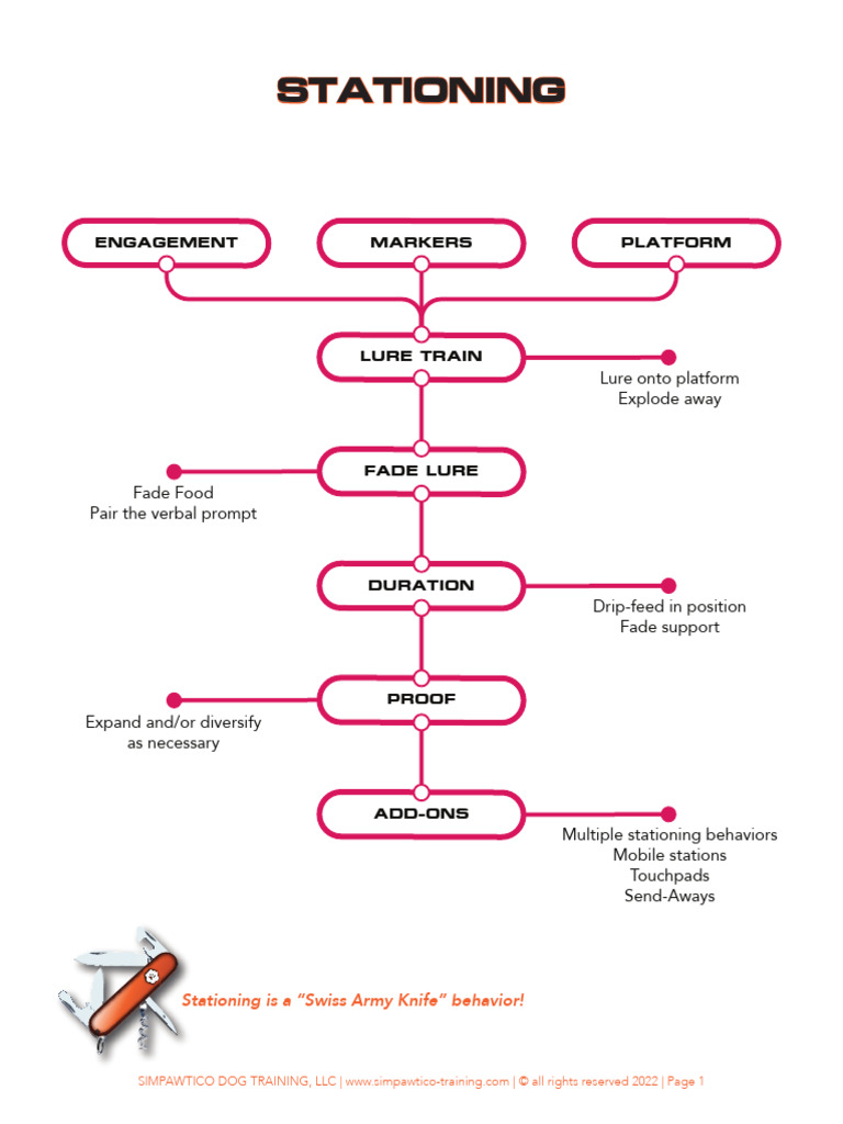 Simpawtico_Stationing | PDF | Dog Training